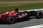 Foto zur News: Daniel Ricciardo (Toro Rosso)