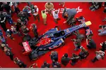 Foto zur News: Toro-Rosso-Ferrari STR8