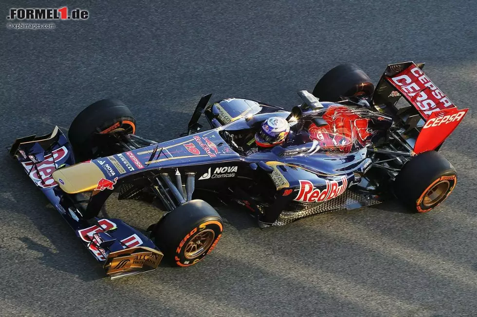 Foto zur News: Daniel Ricciardo (Toro Rosso)