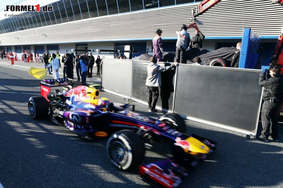Foto zur News: Jenson Button (McLaren) und Mark Webber (Red Bull)