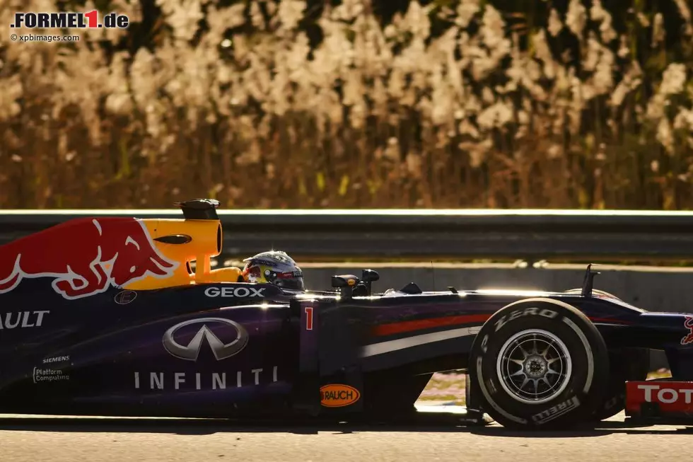 Foto zur News: Sebastian Vettel (Red Bull)