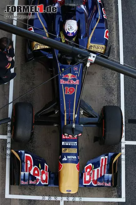 Foto zur News: Daniel Ricciardo (Toro Rosso)