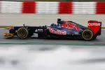 Foto zur News: Daniel Ricciardo (Toro Rosso)