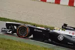 Foto zur News: Pastor Maldonado (Williams)