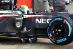 Foto zur News: Esteban Gutierrez (Sauber)