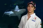 Foto zur News: Esteban Gutierrez (Sauber)