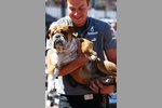 Foto zur News: Lewis Hamiltons Hund Roscoe