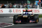 Foto zur News: Daniel Ricciardo (Toro Rosso)