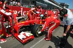 Foto zur News: Fernando Alonso (Ferrari)