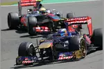 Foto zur News: Daniel Ricciardo (Toro Rosso)