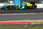 Foto zur News: Alexander Rossi (Caterham)