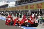 Gallerie: Fernando Alonso (Ferrari)