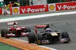 Foto zur News: Daniel Ricciardo (Toro Rosso)