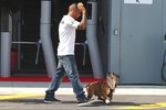Foto zur News: Lewis Hamilton (Mercedes) führt Hund Roscoe im Fahrerlager Gassi