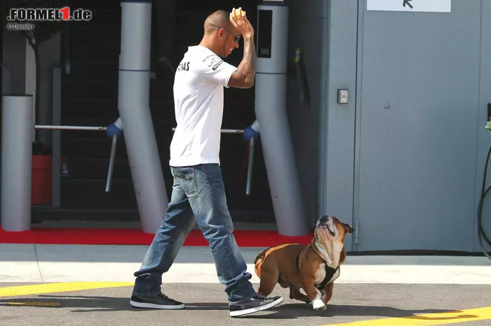 Foto zur News: Lewis Hamilton (Mercedes) führt Hund Roscoe im Fahrerlager Gassi