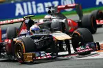 Foto zur News: Daniel Ricciardo (Toro Rosso)