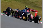 Foto zur News: Daniel Ricciardo (Toro Rosso)