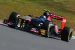 Foto zur News: Daniel Ricciardo (Toro Rosso)