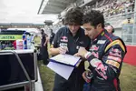 Foto zur News: Daniel Ricciardo (Toro Rosso)