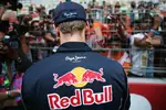 Foto zur News: Sebastian Vettel (Red Bull)