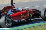 Foto zur News: Fernando Alonso (Ferrari)