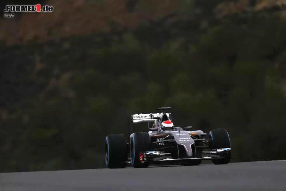 Foto zur News: Adrian Sutil (Sauber)