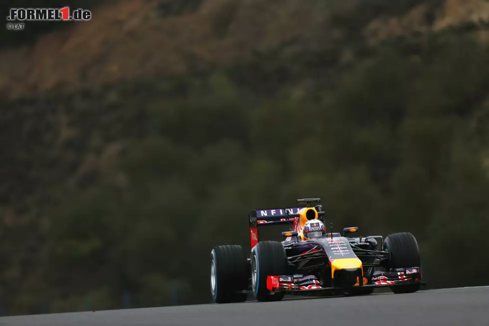 Foto zur News: Daniel Ricciardo (Red Bull)