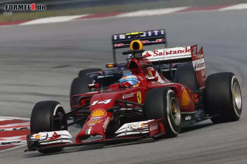 Foto zur News: Fernando Alonso (Ferrari) und Daniel Ricciardo (Red Bull)