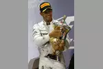 Foto zur News: Lewis Hamilton (Mercedes)