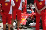 Foto zur News: Fernando Alonso (Ferrari)