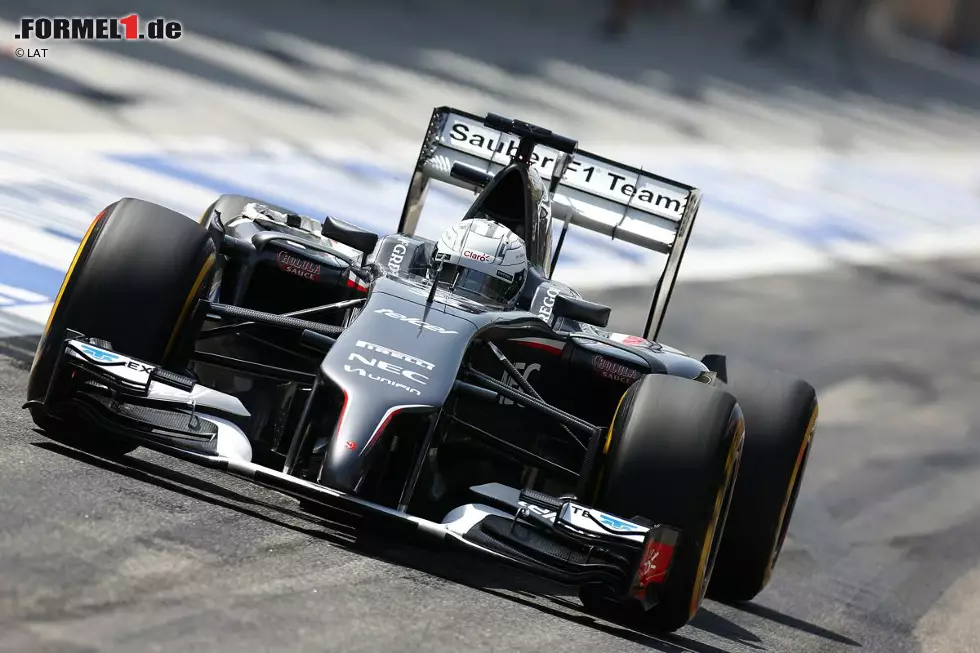 Foto zur News: Giedo van der Garde (Sauber)