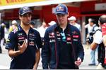 Foto zur News: Daniel Ricciardo (Red Bull) und Daniil Kwjat (Toro Rosso)
