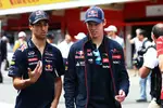 Foto zur News: Daniel Ricciardo (Red Bull) und Daniil Kwjat (Toro Rosso)