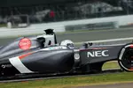 Foto zur News: Giedo van der Garde (Sauber)