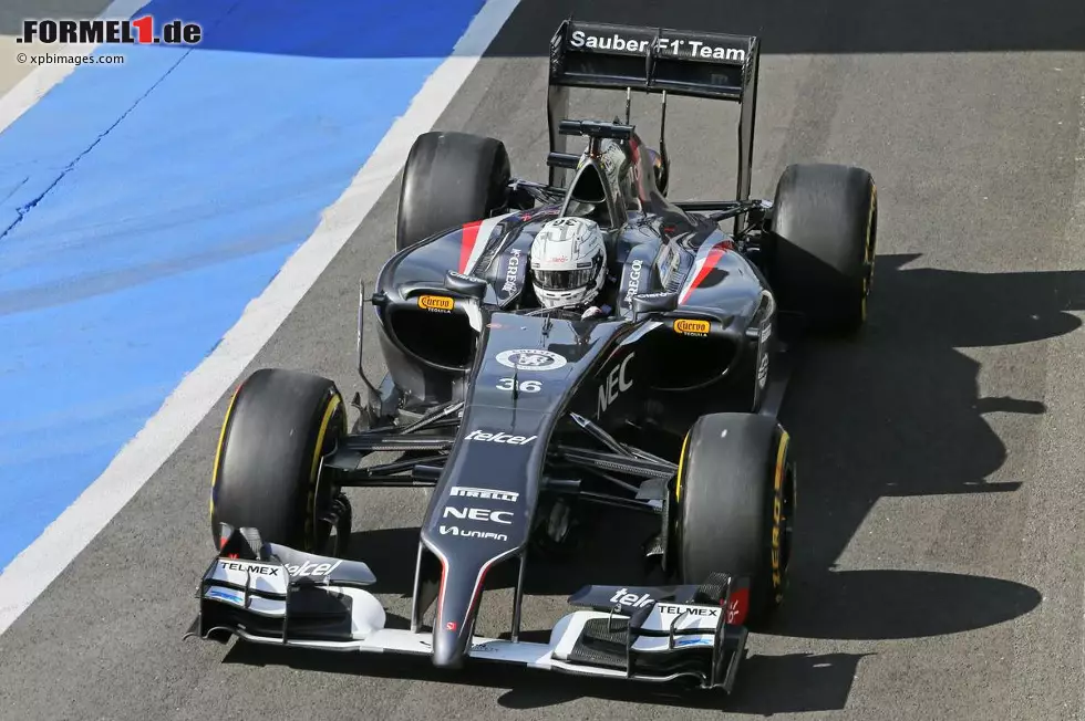 Foto zur News: Giedo van der Garde (Sauber)