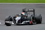 Foto zur News: Adrian Sutil (Sauber)