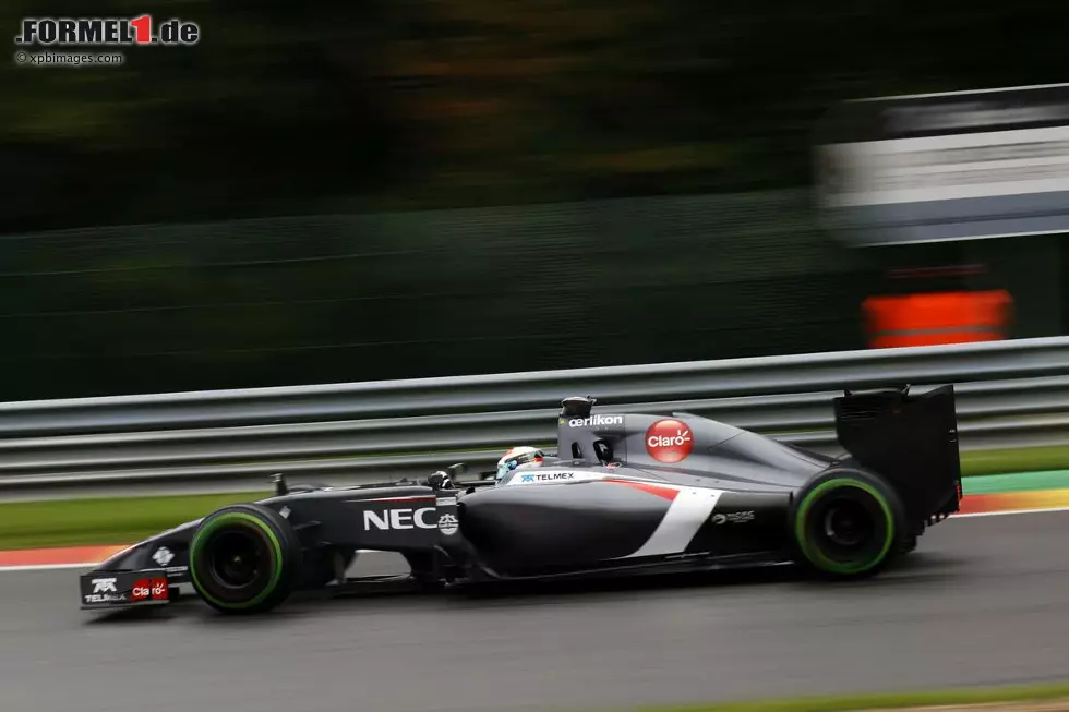 Foto zur News: Adrian Sutil (Sauber)