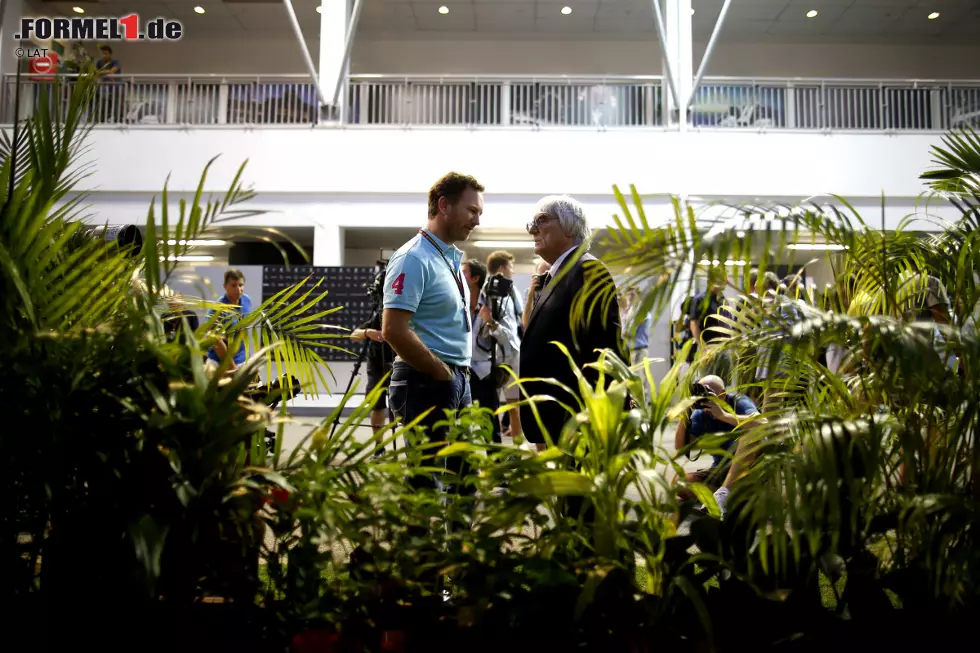 Foto zur News: Bernie Ecclestone und Christian Horner