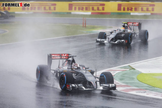 Foto zur News: Adrian Sutil und Esteban Gutierrez (Sauber F1 Team)