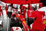 Gallerie: Fernando Alonso (Ferrari)