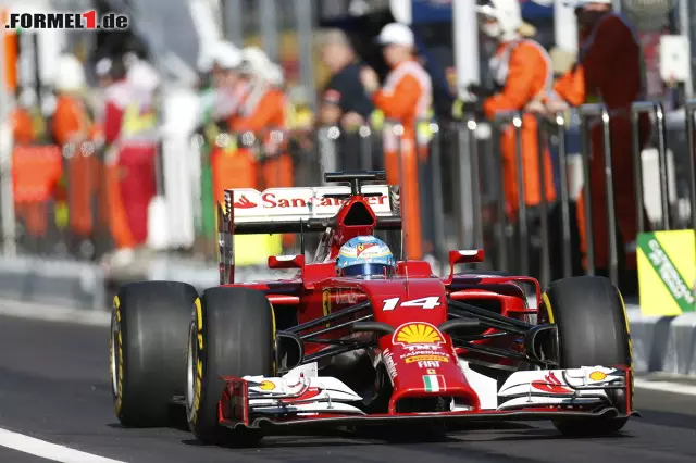 Fernando Alonso (Scuderia Ferrari) Foto zur News: Fernando Alonso (Scuderia Ferrari)