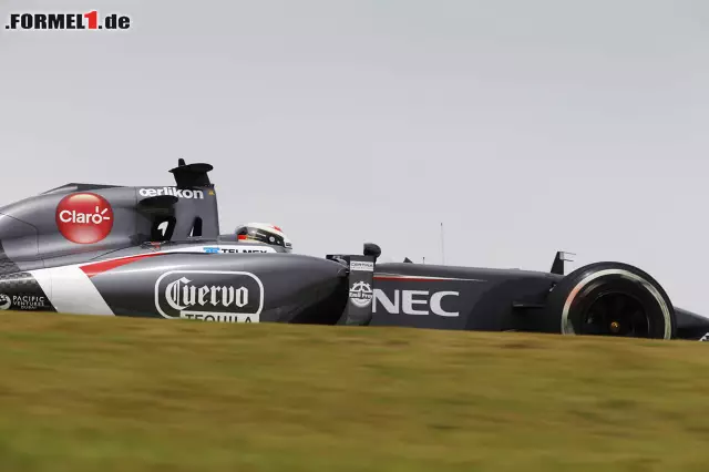 Adrian Sutil (Sauber F1 Team) Foto zur News: Adrian Sutil (Sauber F1 Team)