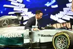 Foto zur News: Lewis Hamilton (Mercedes)