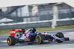 Foto zur News: Max Verstappen (Toro Rosso)