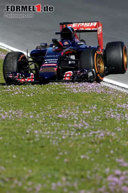 Foto zur News: Carlos Sainz jun. (Toro Rosso)