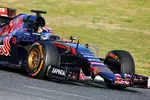 Foto zur News: Max Verstappen (Toro Rosso)