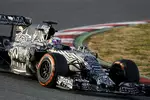 Foto zur News: Daniel Ricciardo (Red Bull)