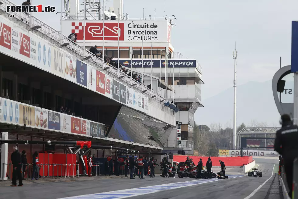 Foto zur News: Max Verstappen (Toro Rosso)