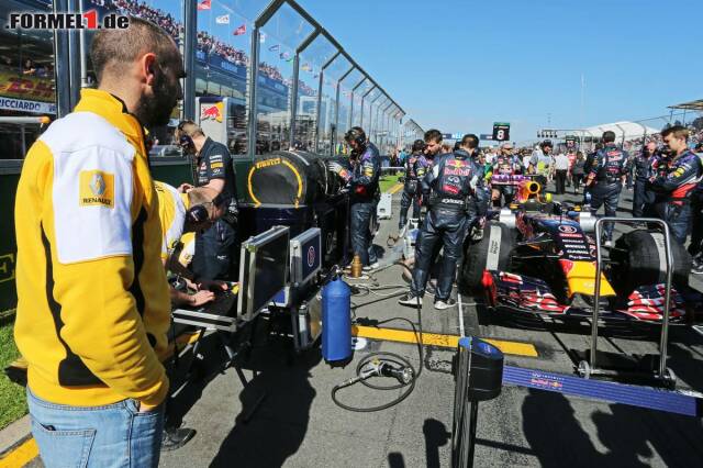 Foto zur News: Cyril Abiteboul und Daniel Ricciardo (Infiniti Red Bull Racing)