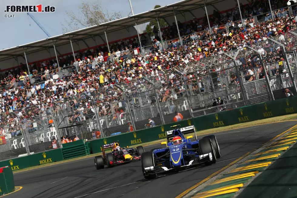 Foto zur News: Felipe Nasr (Sauber) und Daniel Ricciardo (Red Bull)